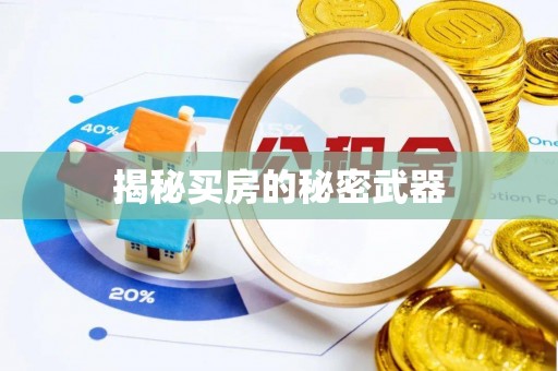 叶县揭秘买房的秘密武器