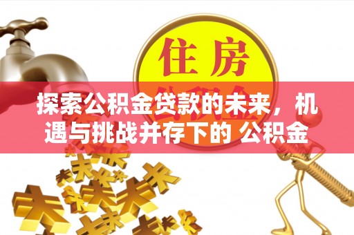 叶县探索公积金贷款的未来，机遇与挑战并存下的 公积金贷款风险防控