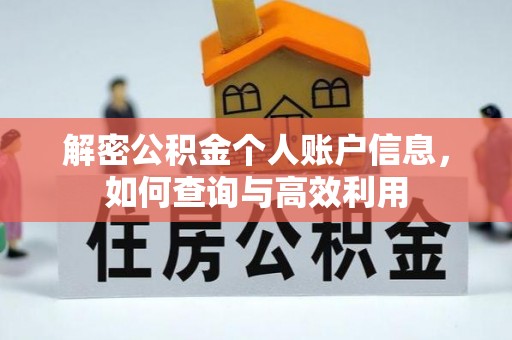 叶县解密公积金个人账户信息，如何查询与高效利用