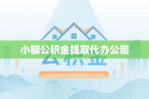 叶县小额公积金提取代办公司