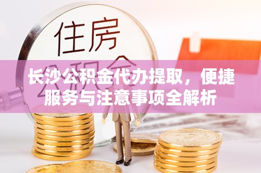 叶县长沙公积金代办提取，便捷服务与注意事项全解析