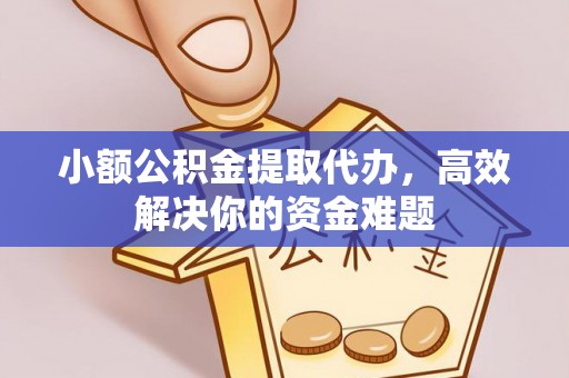 叶县小额公积金提取代办，高效解决你的资金难题