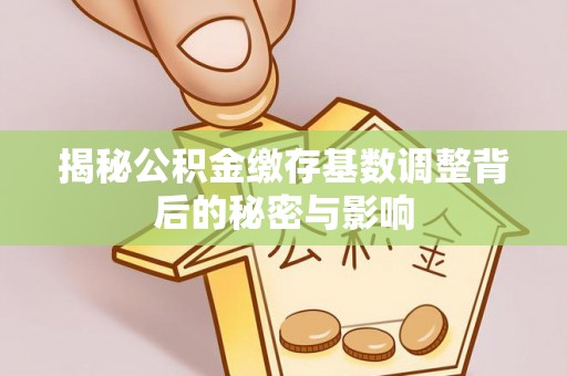 叶县揭秘公积金缴存基数调整背后的秘密与影响
