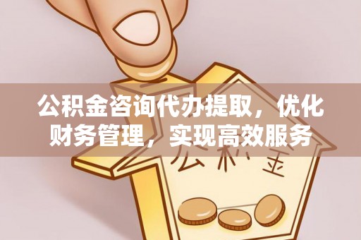 叶县公积金咨询代办提取，优化财务管理，实现高效服务