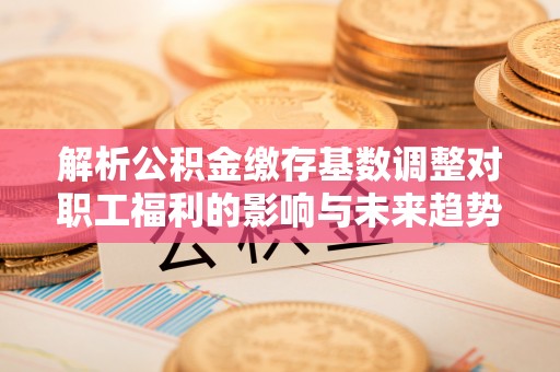 叶县解析公积金缴存基数调整对职工福利的影响与未来趋势