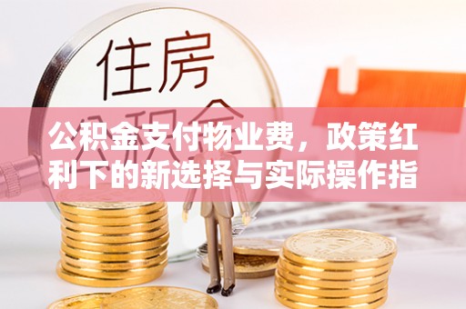叶县公积金支付物业费，政策红利下的新选择与实际操作指南