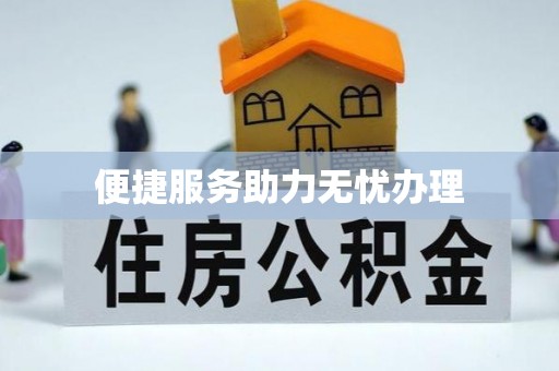 叶县便捷服务助力无忧办理