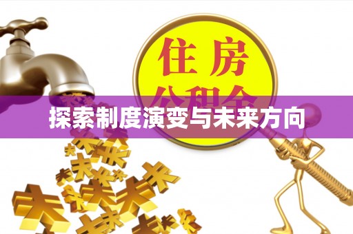 叶县探索制度演变与未来方向