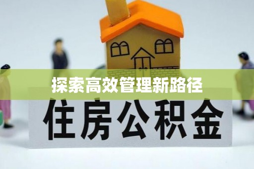 叶县探索高效管理新路径