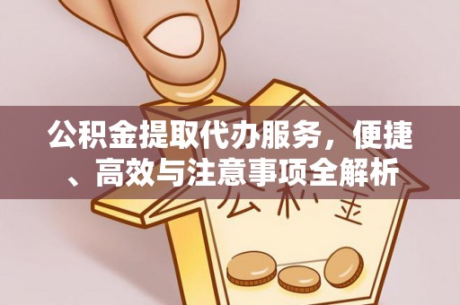 叶县公积金提取代办服务，便捷、高效与注意事项全解析