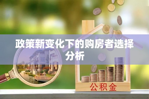 叶县政策新变化下的购房者选择分析