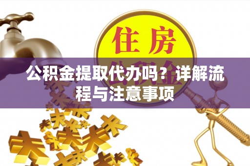 叶县公积金提取代办吗？详解流程与注意事项