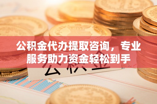 叶县公积金代办提取咨询，专业服务助力资金轻松到手