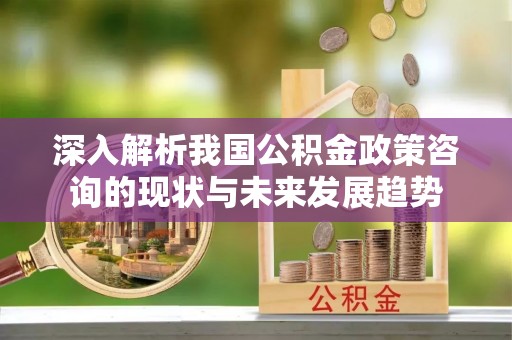 叶县深入解析我国公积金政策咨询的现状与未来发展趋势