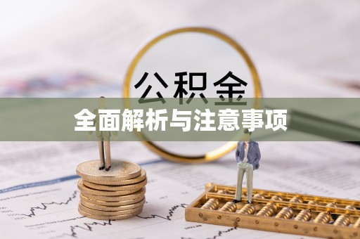 叶县全面解析与注意事项