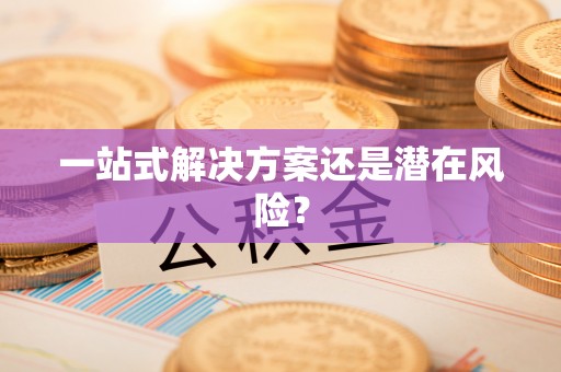 叶县一站式解决方案还是潜在风险？